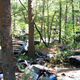 Illustration for article titled Massive Secret Mustang Junkyard Found In Rhode Island Forest